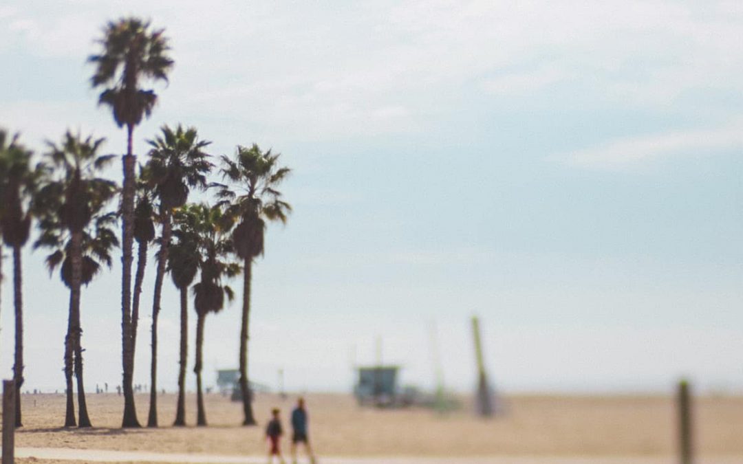 10 Fun Things to Do During Summer Vacation