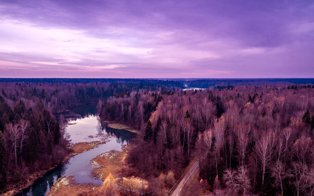 6 Best Hiking and Survival Location Apps